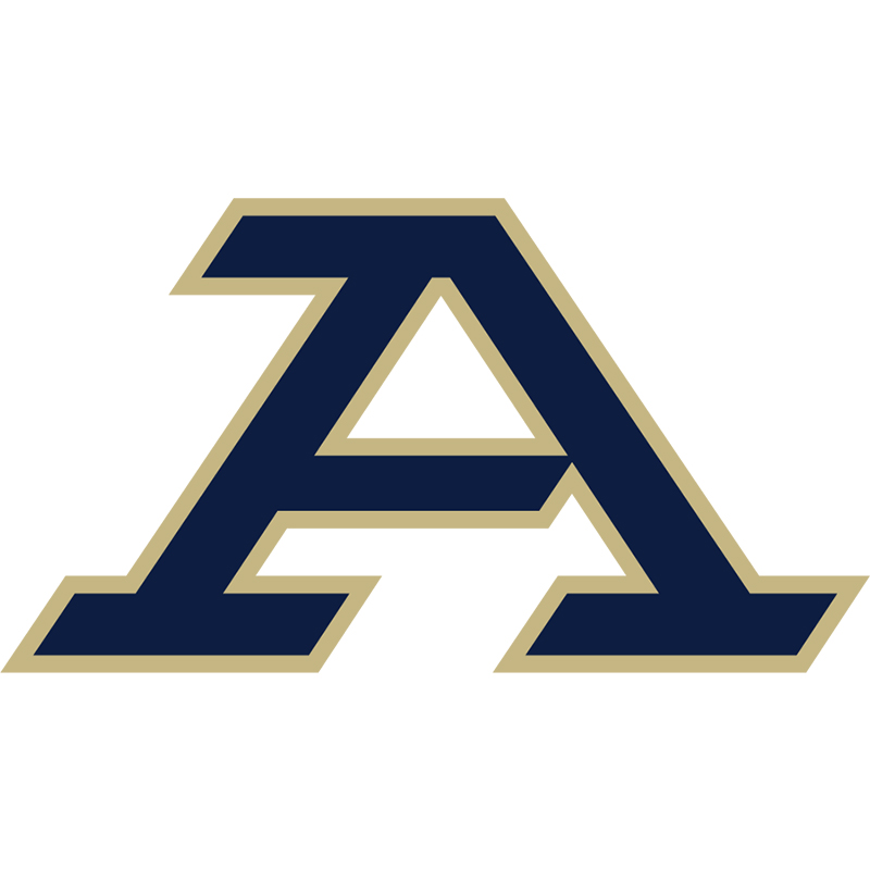 Akron Zips iron ons